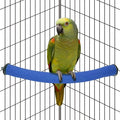 Rypet Parrot Perch Stand Toy Used by RYPET