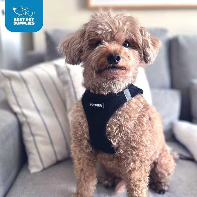 Best Pet Supplies Voyager Step-in Air Harness - Image 10