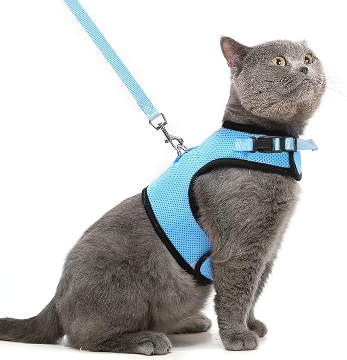 PUPTECK Soft Mesh Cat Vest Harness and Leash Set Puppy Padded Pet Harnesses by PUPTECK