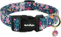 Dog Collar for Extra Small Dogs, Spring Dark Green Dog Collars by Unknown