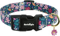 Dog Collar for Medium Dogs, Spring Dark Green Dog Collars by Unknown