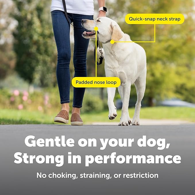 PetSafe Gentle Leader Headcollar - Image 4