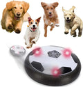 Ivieicip Active Gliding Disc by Ivieicip