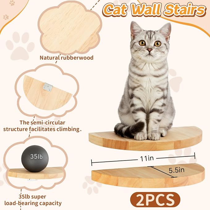 3 Pcs Cat Wall Shelves Set, Thicken Wooden Transparent Capsule Kitten Shelves - Image 3