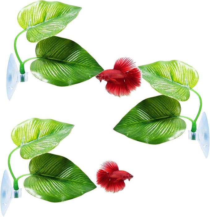 CousDUoBe 3 Pack Betta Fish Leaf Pad Improves Betta's Health by Simulating The by CousDUoBeAquariumfishtankdecoration