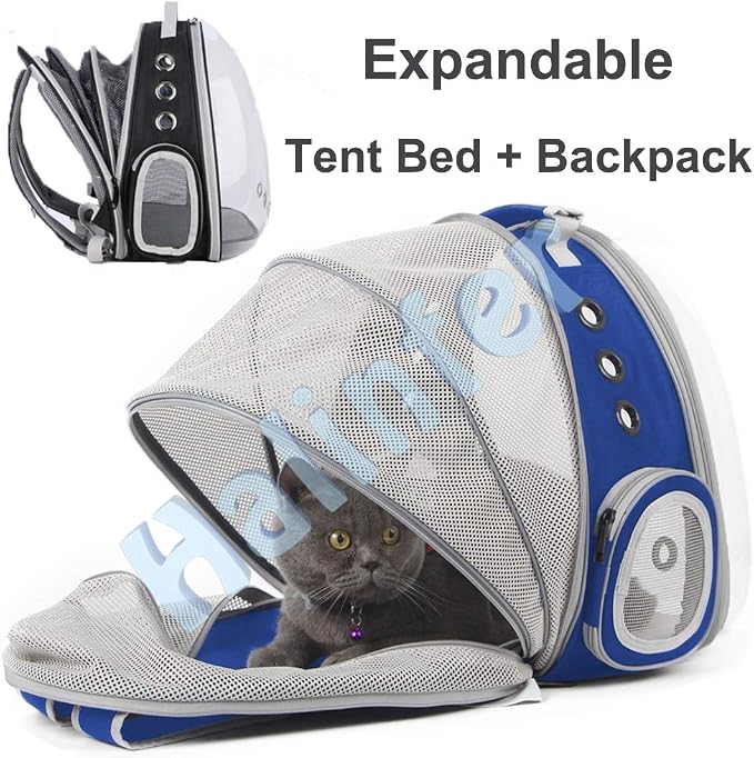 Back Expandable Clear Cat Backpack Carrier, Fit up to 12 lbs, Space Capsule - Image 5