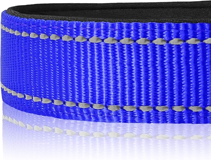 Joytale Reflective Dog Collar, Soft Neoprene Padded, Metal D-Ring, Nylon Pet - Image 4
