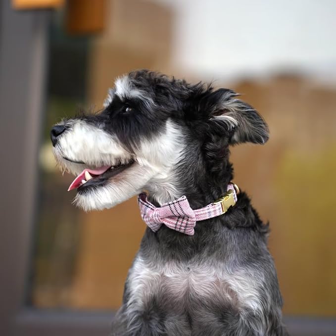 Beirui Cute Extra Small Dog Harness Collar and Leash Set - Image 5