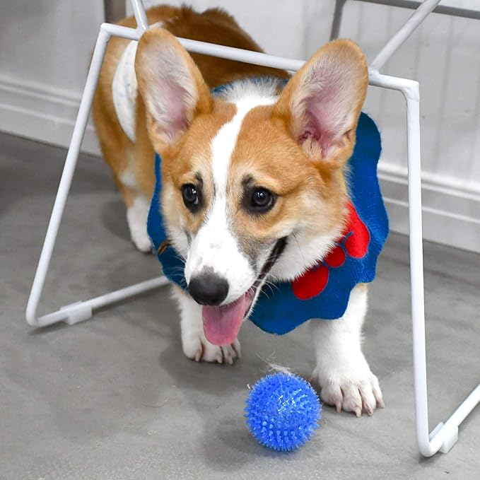 SHARLOVY Squeaky Balls for Pet Small Puppy, 6 Pack TPR Fetch Spike Balls for - Image 7