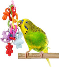 Hypeety Bird Parrot Foot Toy Chewing Swing Bite Toy Plastic Parrot Toys Bird by Hypeety