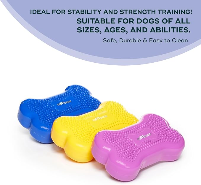 Mini K9fitbone Balance Training Platform - Image 3