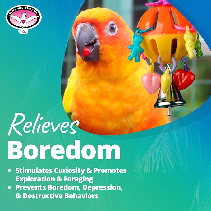 Super Bird Creations SB1086 Having a Ball Bird Toy - Image 7