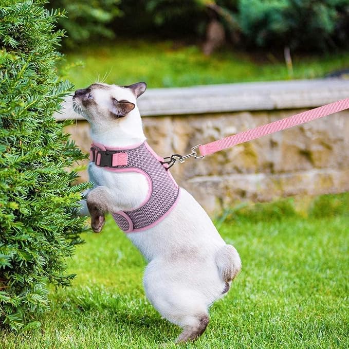 PUPTECK Soft Mesh Cat Vest Harness and Leash Set Puppy Padded Pet Harnesses - Image 6