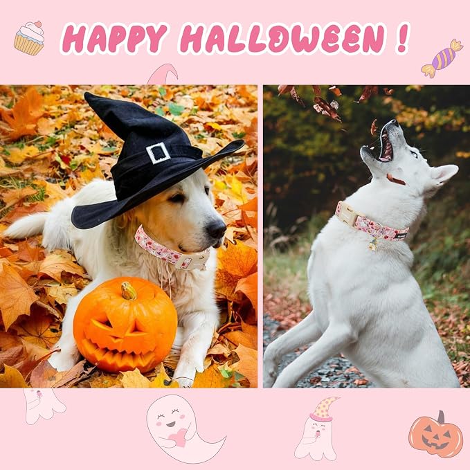 Halloween Dog Collar, Fall Dog Collars - Image 3