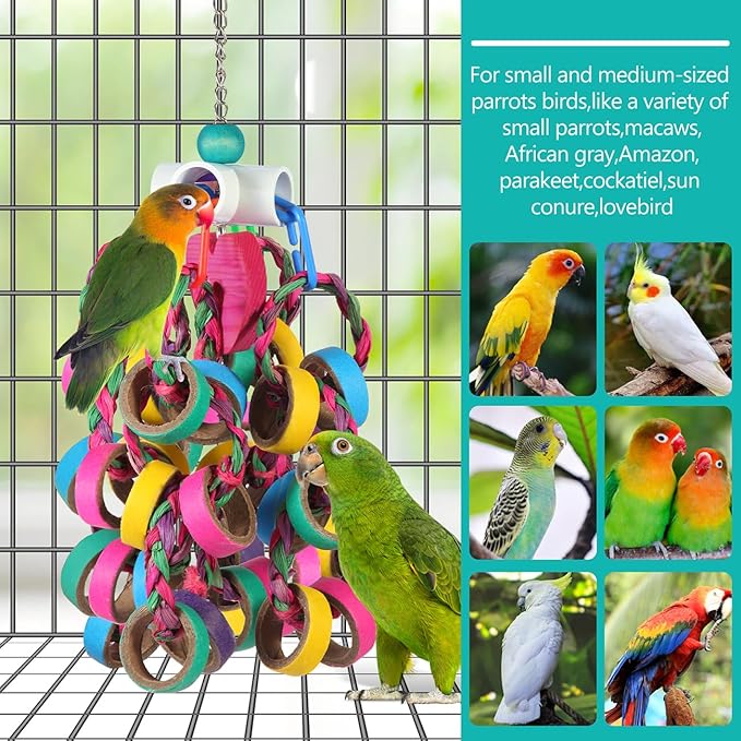 Bird Toys Conure Toys, Bird Parrot Foraging Shredder 24 Pcs Colorful Bagel - Image 3