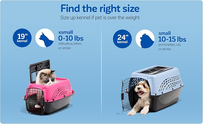 Petmate Dog Crates for Small Dogs & Cat Carriers, Two-Door Plastic Pet Kennel - Image 4