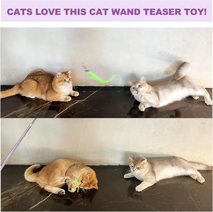 Cat Toys for Indoor Cats, 2 Retractable Cat Wand & 7PCS Worm Teaser Refills - Image 4