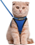 rabbitgoo Cat Harness and Leash Set by rabbitgoo