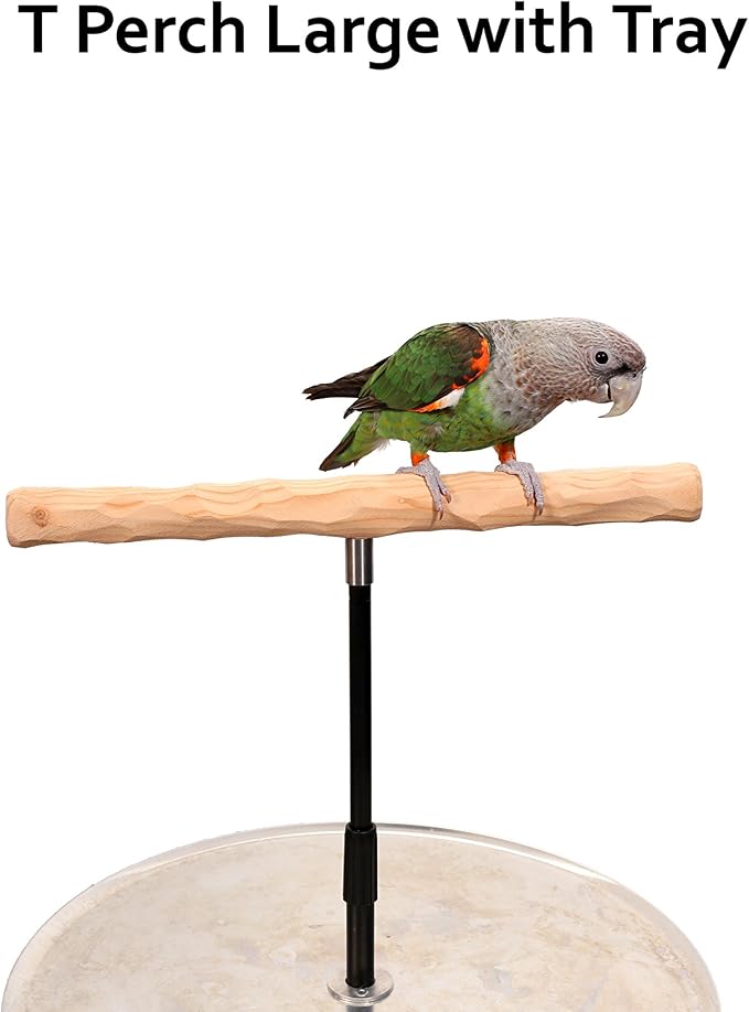 Parrot Training Perch Stand - Image 2