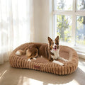 Dog Bed for Extra Large Dogs, Cute XL Dog Bed by Unknown