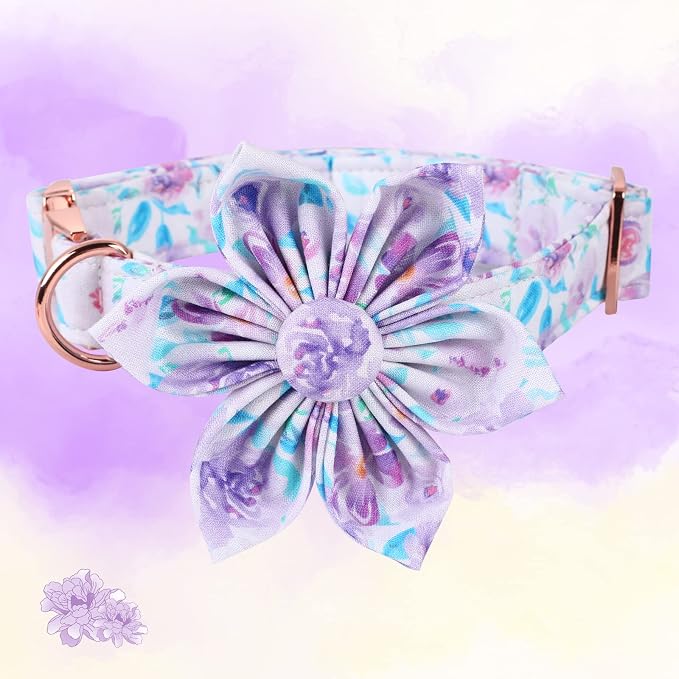 Lionheart Glory Cute Floral Pattern Adjustable Dog Collar - Image 2