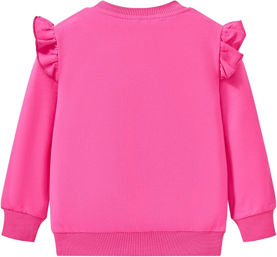 Toddler Baby Girls Cotton Sweater, Long Sleeve Crewneck Sweatshirt Pullover - Image 3