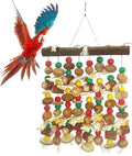 PINVNBY Large Parrot Toys Natural Nuts Corn Cob Wooden Chewing Tearing Toy by PINVNBY