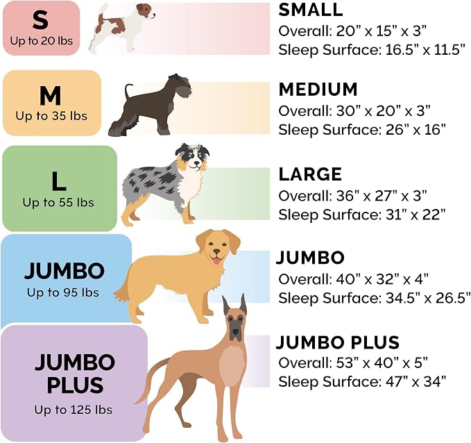 Furhaven Orthopedic Dog Bed for Medium/Small Dogs w/ Removable Bolsters & - Image 6