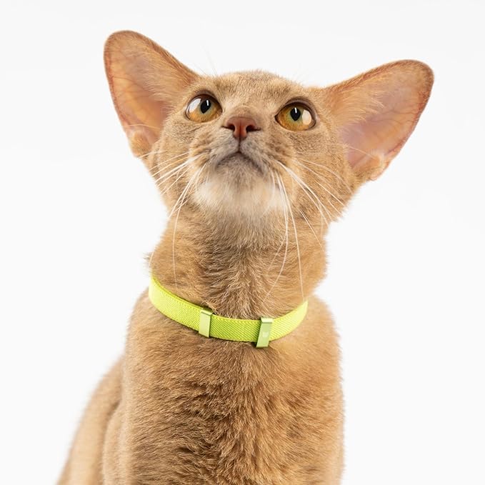 Safety Cat Collar - Image 5