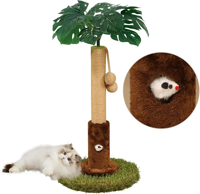 Cat Scratching Post for Indoor Cats and Kitten by WOOCHPET