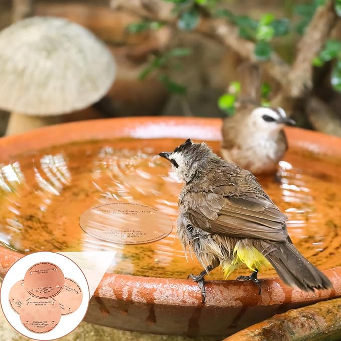 1 Pcs Bird Bath Copper Disk, 0.6mm Thick Reinforced 99.99% Pure Copper Birdbath - Image 6