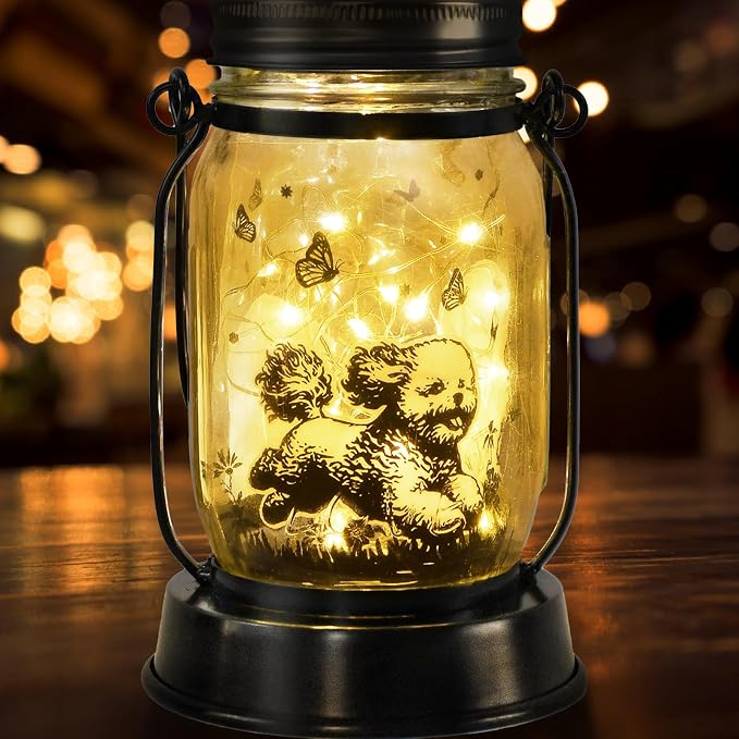 kyoryuger Bichon Dog Gifts for Women/Men Bichon Frise Solar Lanterns Birthday by kyoryuger