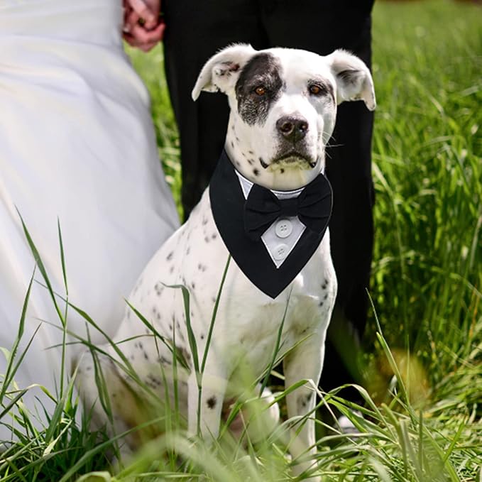 FUAMEY Dog Tuxedo for Medium Dogs, Dog Formal Suit Dogs Attire Pet Bow Tie - Image 2