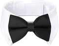 Segarty Black Bow Tie Dog Collar by Segarty