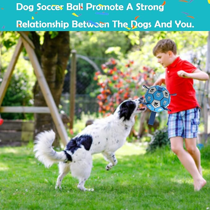 Dog Soccer Ball, Interactive Toys - Image 4