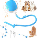 Interactive Electric Automatic Rolling Moving Rechargeable Self Play by Unknown
