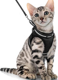 rabbitgoo Cat Harness and Leash Set by rabbitgoo
