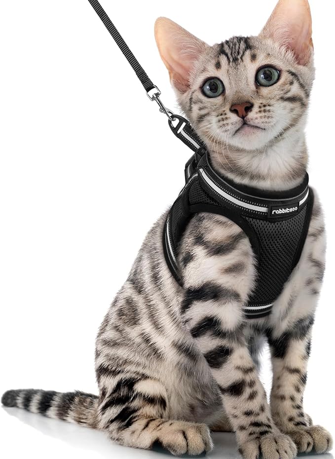 rabbitgoo Cat Harness and Leash Set by rabbitgoo
