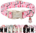 Christmas Dog Collar for Medium Dogs by Babolepet