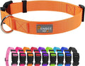 Dog Collar Orange Basic Adjustable Dog Collars by Penseepet