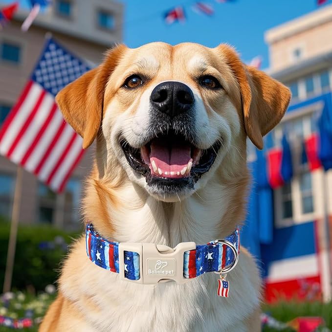 4th of July Dog Collar, Stars & Stripes Patriotic Dog Collars - Image 3