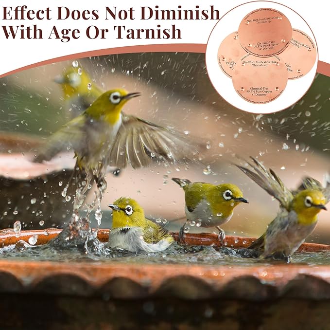 2 Pcs Bird Bath Copper Disk, 0.6mm Thick Reinforced 99.99% Pure Copper Birdbath - Image 4