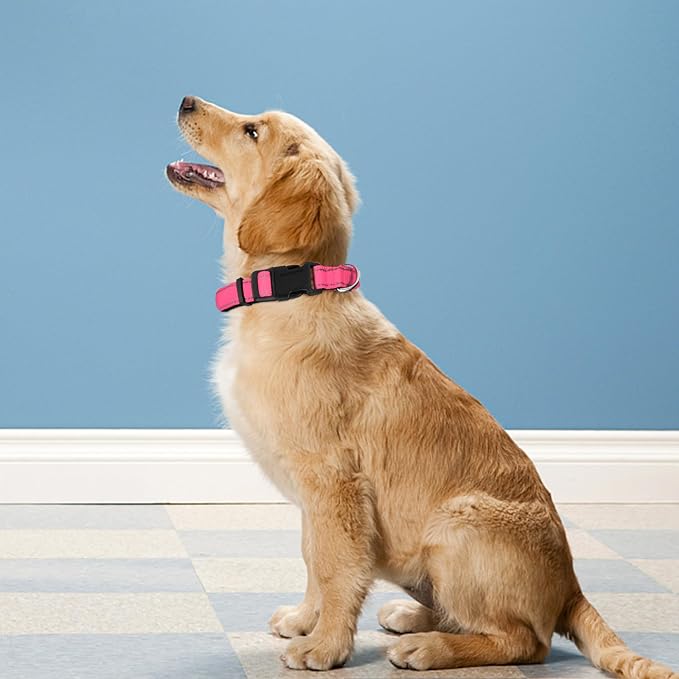 Reflective Dog Collar, Adjustable Soft Neoprene Padded Nylon Pet Collars - Image 2