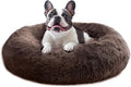 JOLLYVOGUE Calming Small Dog & Cat Bed by JOLLYVOGUE