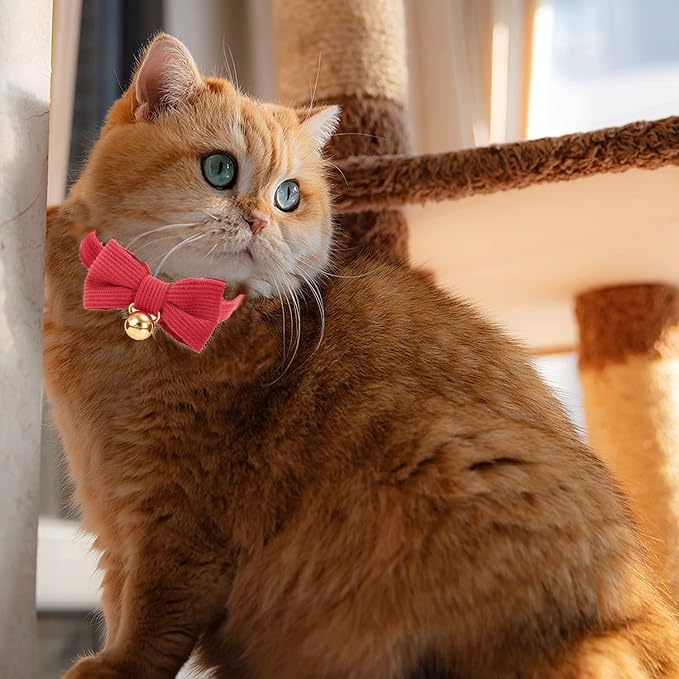 Cotton Breakaway Cat Collar - Image 6