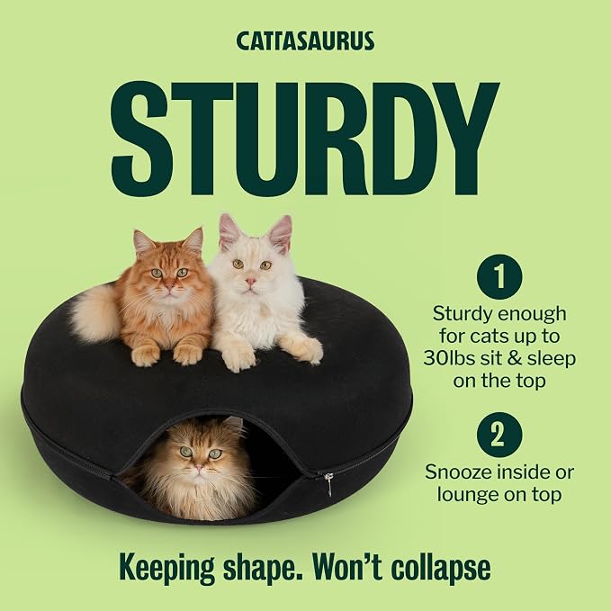 Cattasaurus Peekaboo Cat Cave Donut - Image 3