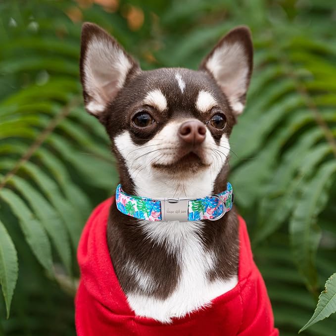 Unique Style Paws Metal Buckle Painting Banana Leaves Collar Gift - Image 4