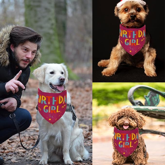 Dog Birthday Party Supplies Dog Birthday Girl Bandanas Party Pet Supplies - Image 3