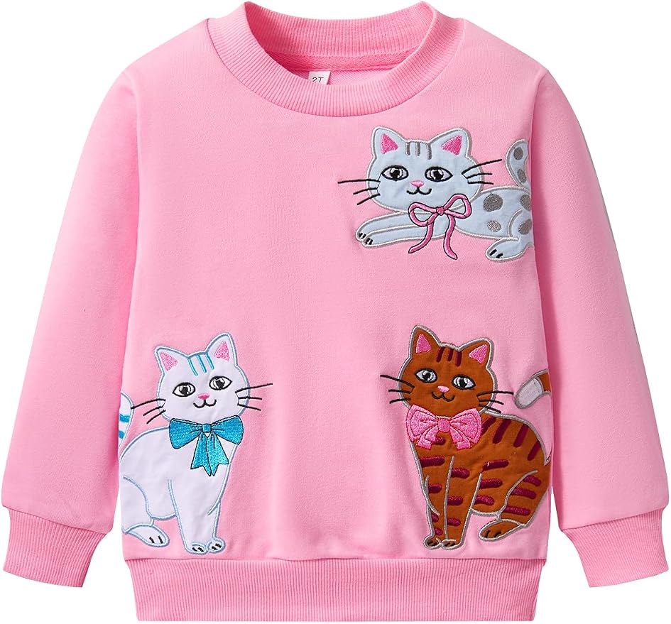 Toddler Baby Girls Cotton Sweater, Long Sleeve Crewneck Sweatshirt Pullover by Unknown