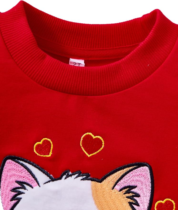 Toddler Baby Girls Cotton Sweater, Long Sleeve Crewneck Sweatshirt Pullover - Image 3